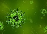 Koronavirüs pandemisi ne zaman sona erecek?